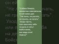 Заговор от укуса собаки