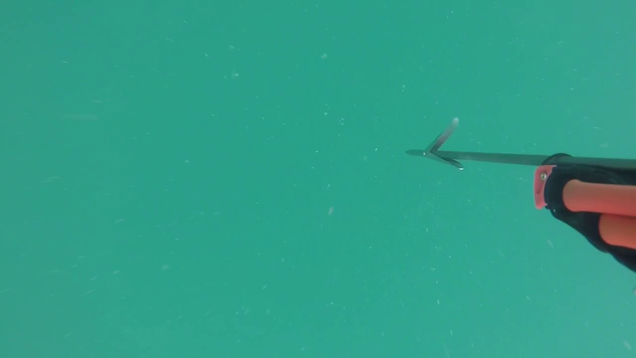 Spearfishing Drone Footage