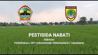 Pestisida Nabati 'Atsiri Oil Based'  sebagai pengendali OPT (Organisme Pengganggu Tanaman)