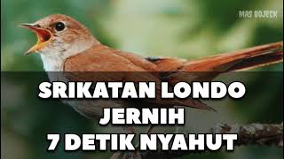 SRIKATAN LONDO JERNIH FULL POWER 7 MENIT NYAHUT