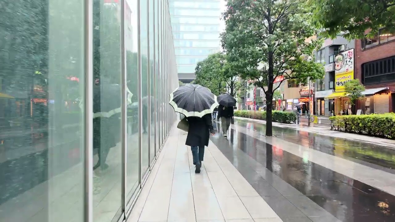 Akihabara Rain Pt2