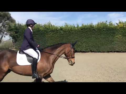 First Dressage Outing - Intro 2 (2024) 68.86% - 12th April 2025