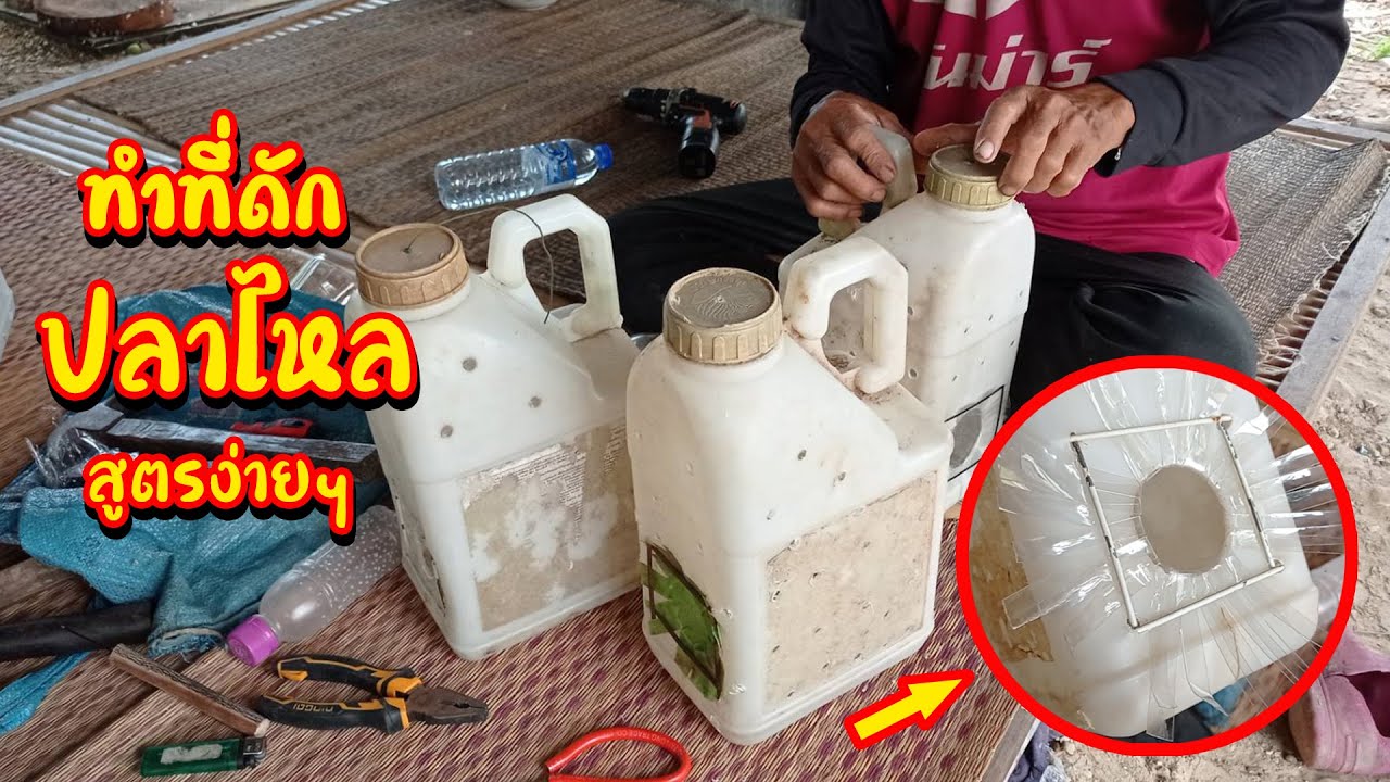 ทำที่ดักปลาไหล ด้วยแกลลอน ที่ดักปลาไหลแบบใหม่ ง่ายๆด้วยตัวเอง