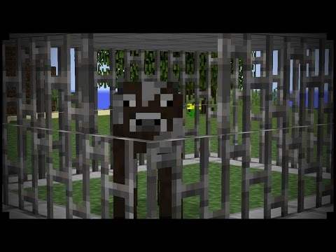 Vidéo: Comment Construire Un Piège Pour Les Animaux Dans Minecraft