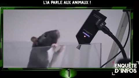 🌐 L’IA parle aux animaux !