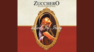 Video thumbnail of "Zucchero - Rispetto (Live 2008)"