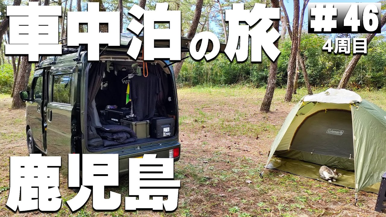 【#4-46】野良猫を保護すると決め手となった出来事。鹿児島の無料キャンプ場「ふれあいの森キャンプ場」【車中泊の旅】（日本一周4周目）