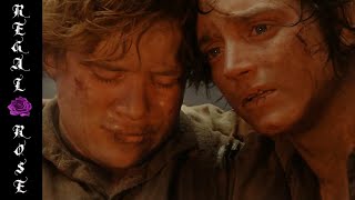 Frodo &amp; Sam ~ Pilgrims on a Long Journey