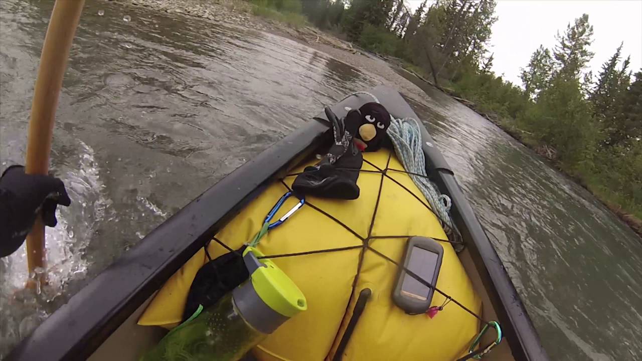 Canoeing on the Clearwater River, Day 2 YouTube