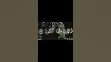 الواقعة ٤٩ - ٥٦ ياسر الدوسري #َأجْرُنَا#القرآن_الكريم#آيات#alquran_alkarim