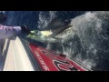 2016 Los Cabos Billfish Tournament | Team Oh So Rojo | Blue Marlin