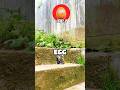 Destroying A IPHONE With Random Objects💥