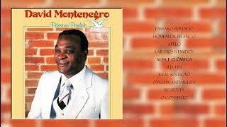 💿 David Montenegro | Pássaro Perdido | 1986 (Album Completo)