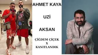 Ahmet Kaya & Uzi̇ & Aksan - Kanitlandik