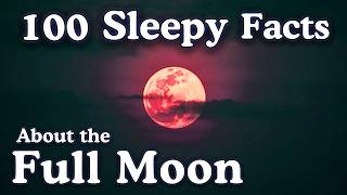 The Most Relaxing Facts About The Full Moon to Fall Asleep To — No Adverts