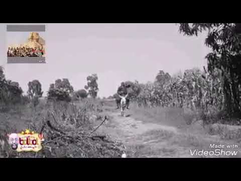 عمر الجيزاوي بيغني للاخوان