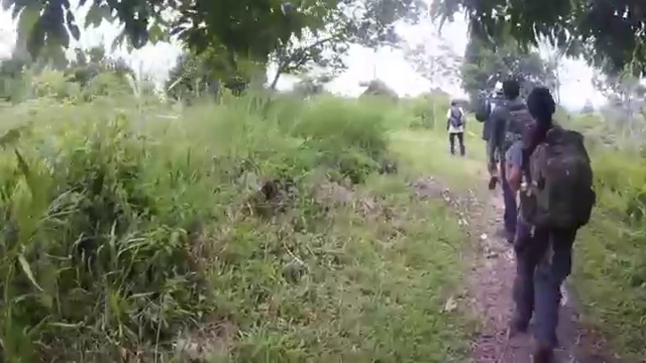 CVB Winter Internship 2016: Carla Rodriguez