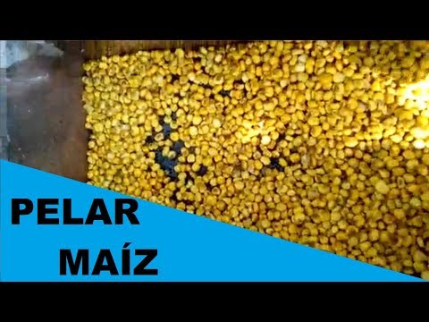 Video: ¿Debería pelar el maíz antes de asarlo?