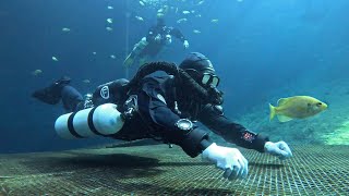 Sidemount Essential Instructors - CCR Demo Day