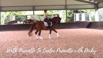 Walk Pirouette To Canter Pirouette with Derby