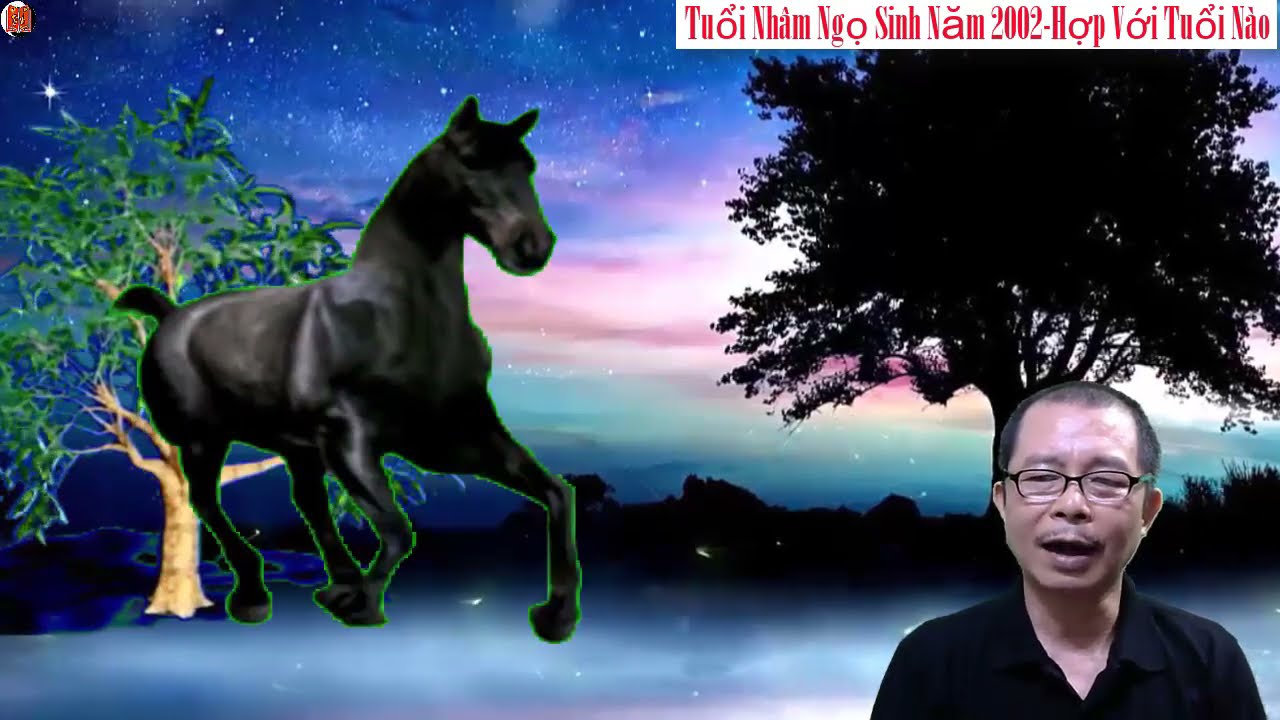 2002 Mệnh Gì - Tìm Hiểu Về Năm Sinh Của Bạn