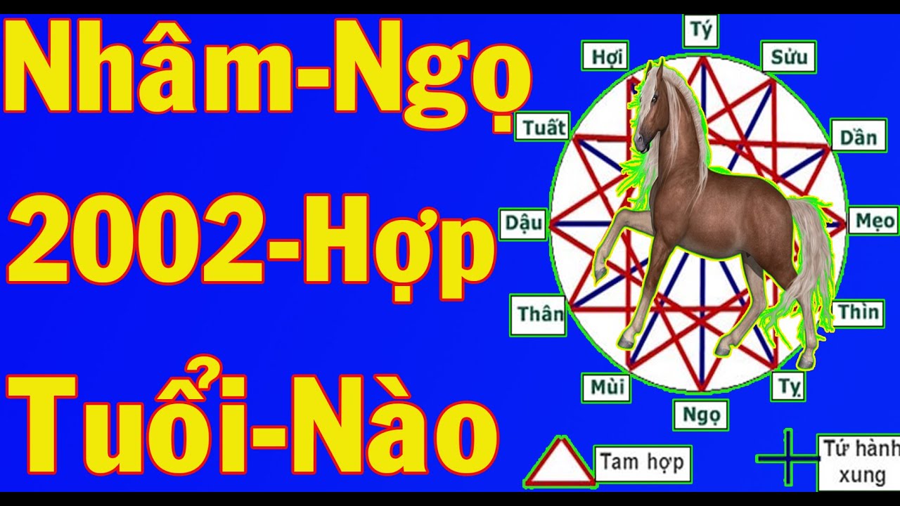 Tuổi Nhâm Ngọ Sinh Năm 2002 Hợp Với Tuổi Nào Trong Làm ăn Và Hôn Nhân
