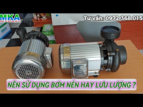 Hướng dẫn Phân