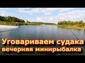 Вечерняя минирыбалка на судака.