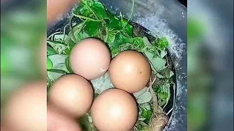 ASEJE ASIRI BIBO OWO KIAKIA