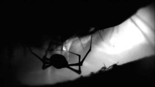 Full Game Limbo chapter 4, 5, 6 and 7 by Aris