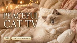 24 HOURS of Cat TV for Stress Relief 🐈 Extremely Soothing Music for Cats screenshot 4