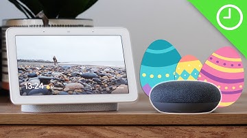The BEST Google Assistant Easter eggs!
