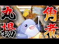 【グルメ】バレンタインといえば！そう、豚角煮の丸揚げだよね！【お料理 Vtuber さめふらい】【料理】