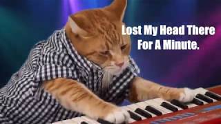 Keyboard Cat Almost Lost His Noggin There!