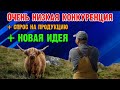 (3) идеи для бизнеса редкого и очень выгодного животноводства! НОВИНКИ!!!