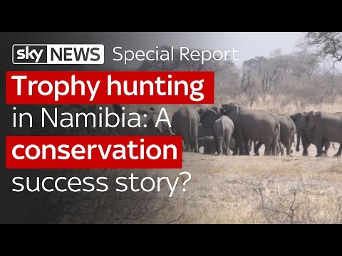 Trophy hunting in Namibia: A conservation success story?