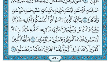 سورة التحريم بندر بليلة