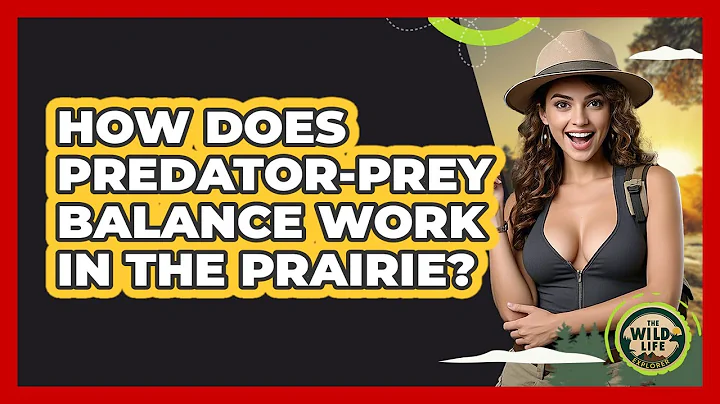 How Does Predator-prey Balance Work In The Prairie? - The Wild Life Explorer