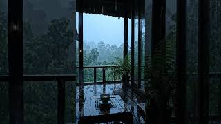 #JungleRain #RainyNight #RelaxingSounds #RainASMR #StudyBackground #WhiteNoise #RainInCabin#ASMR