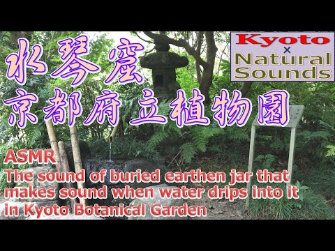 【京都風景×自然音ASMR】水琴窟 × 京都府立植物園 [The sound of Suikinkutsu/Kyoto Botanical Garden]