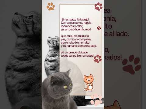 ¡Feliz Día Internacional del Gato! #gatos #испанскийязык #felicitacion