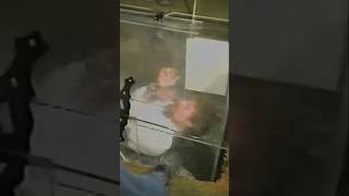 Download Lagu Joseph Burrus' Fatal Coffin Escape 😵 MP3