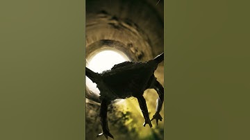 PROJECT HAIL MARY | Rocky