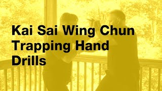 Wing Chun Trapping Hands
