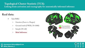 OHBM 2023 | 2900 | Symposium | Sina Mansour L. | Topological Cluster Statistic (TCS): Linking trac…