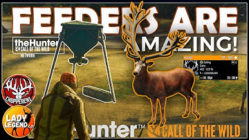 How the NEW FEEDERS WORK in Call of the Wild (Early Access Review)!!!