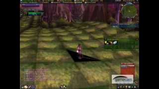 Graphics bug in WoW
