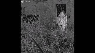 ALIEN TEARS - Ghosts