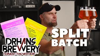 Saflager S-23 vs w34/70 - Split Batch Beer Yeast Review
