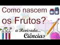 Ciências - Como os frutos são gerados